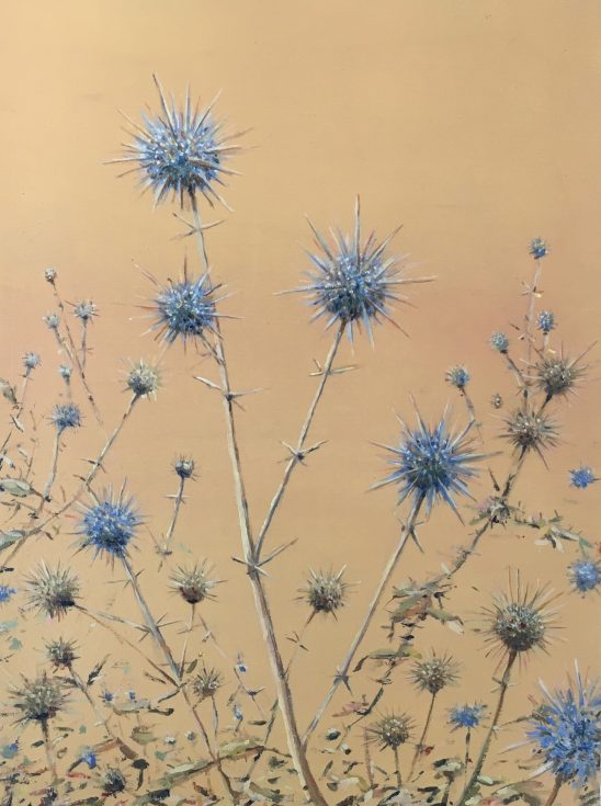 Indian Globe Thistle. Sold